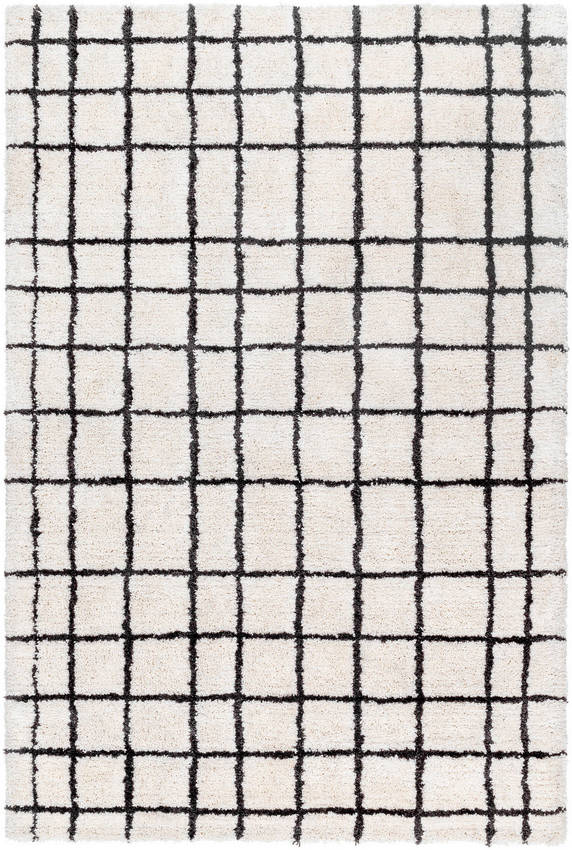 Alorton Modern White/Black Area Rug