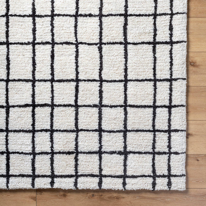 Alorton Modern White/Black Area Rug