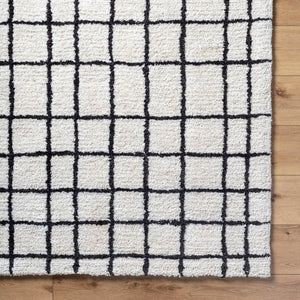 Alorton Modern White/Black Area Rug