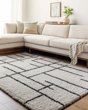 Ieasha Global Off-White/Onyx Area Rug