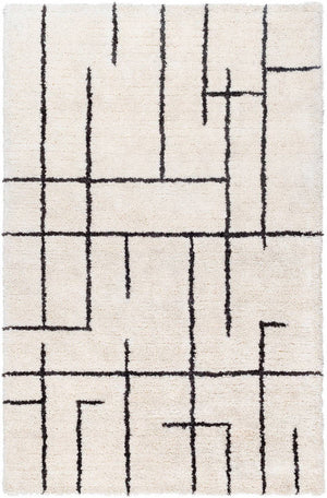 Ieasha Global Off-White/Onyx Area Rug