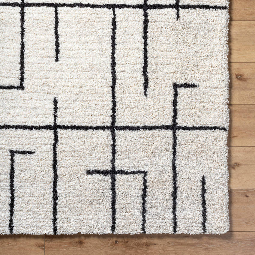 Ieasha Global Off-White/Onyx Area Rug