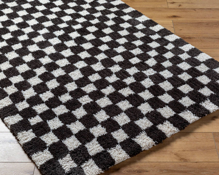 Donnisha Modern Light Silver/Black Area Rug