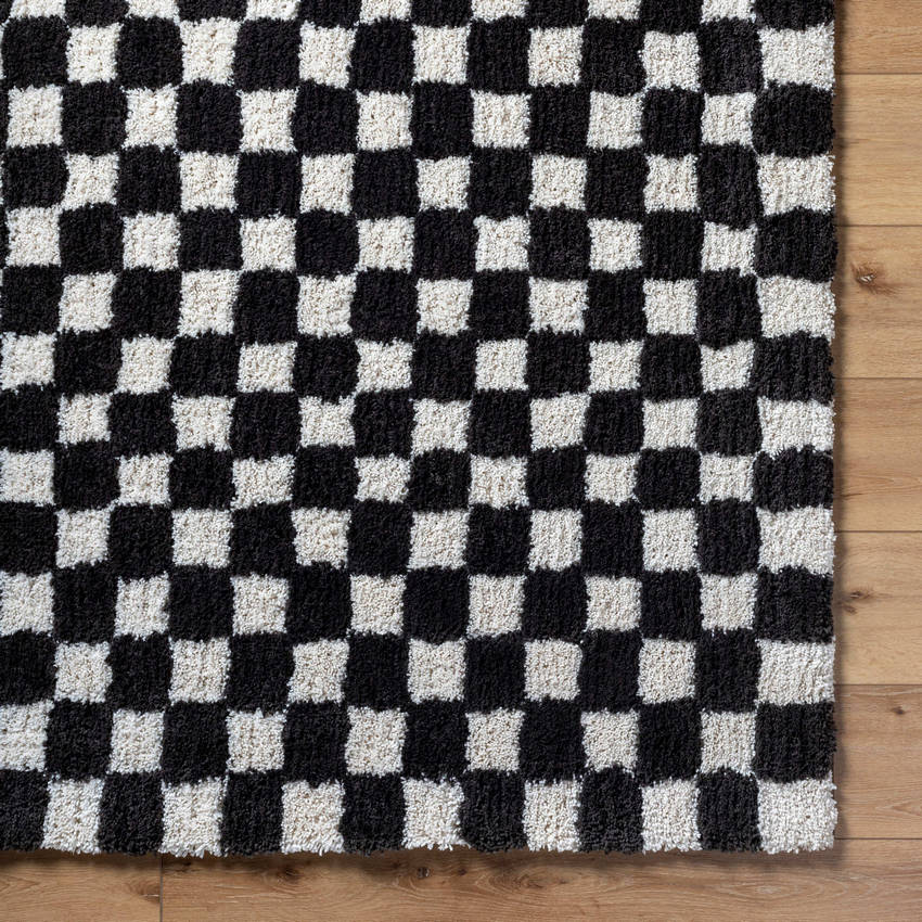 Donnisha Modern Light Silver/Black Area Rug