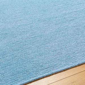 Tobey Solid and Border Pale Blue Washable Area Rug