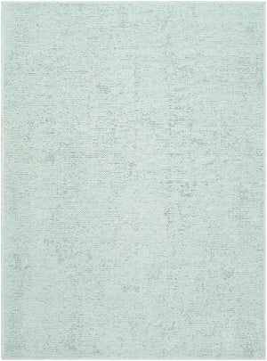 Tobey Solid and Border Seafoam Washable Area Rug