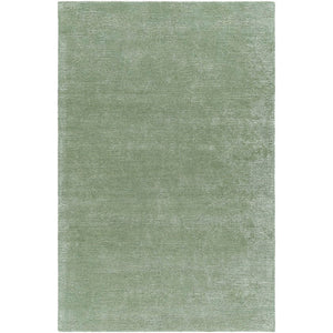 Jett Solid and Border Moss Area Rug
