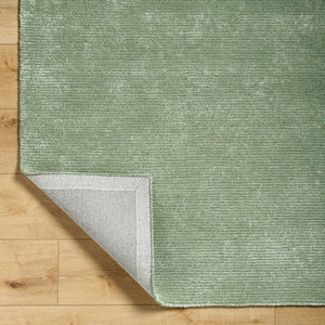 Jett Solid and Border Moss Area Rug