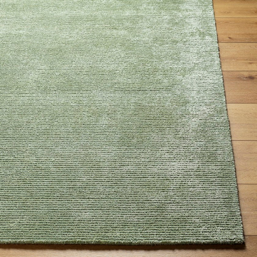 Jett Solid and Border Moss Area Rug
