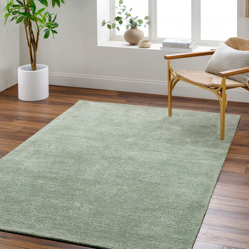 Jett Solid and Border Moss Area Rug