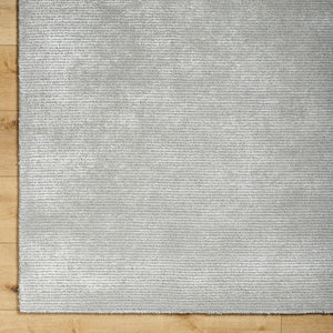 Jett Solid and Border Light Gray Area Rug