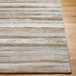 Ermerveen Modern Dark Brown Area Rug