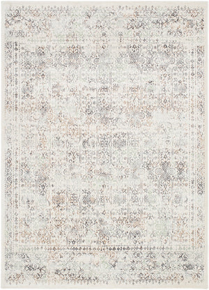 Hyeres Traditional Medium Gray Area Rug