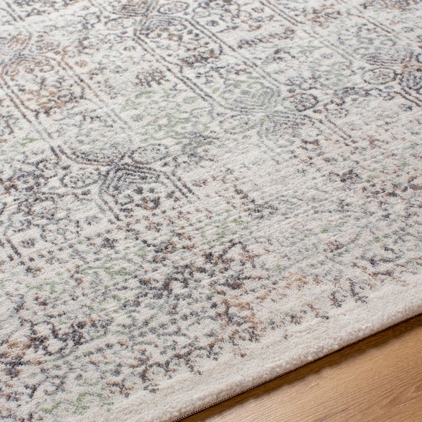 Hyeres Traditional Medium Gray Area Rug