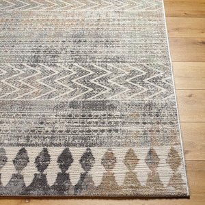 Shepshed Global Dark Gray Area Rug