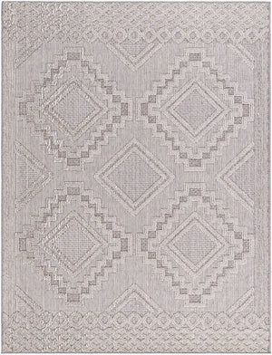 Arno Modern Light Gray Area Rug