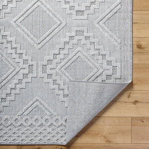 Arno Modern Light Gray Area Rug