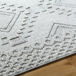 Arno Modern Light Gray Area Rug