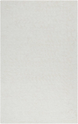 Shardee Modern Light Silver Area Rug