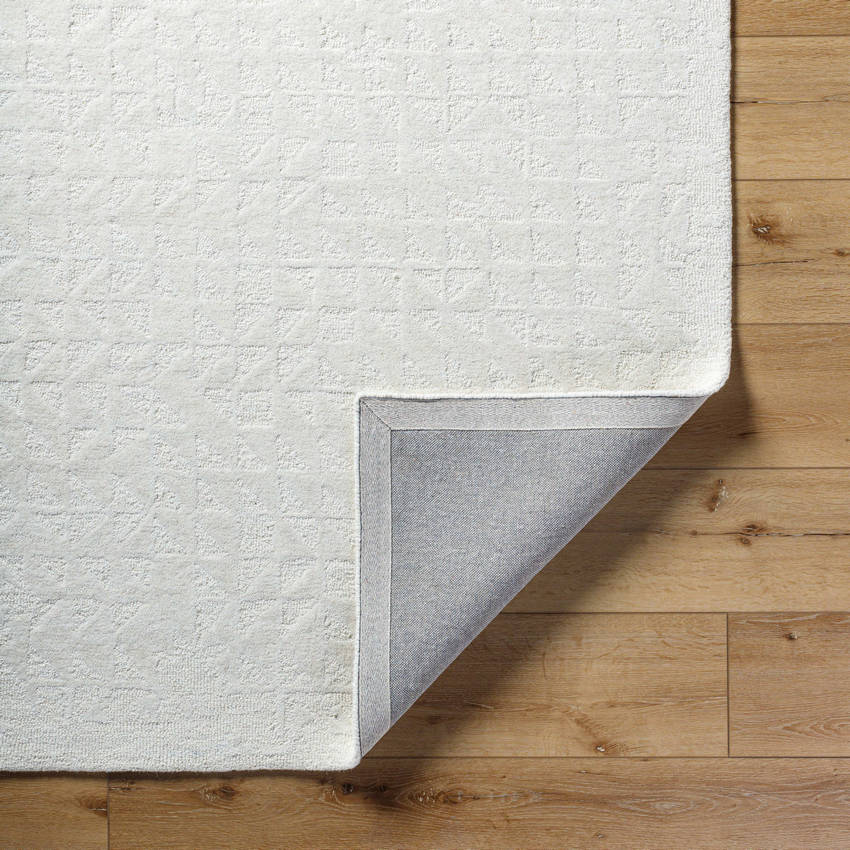 Shardee Modern Light Silver Area Rug