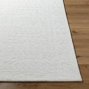 Shardee Modern Light Silver Area Rug