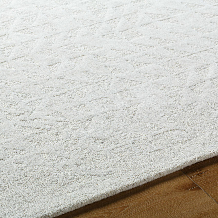 Shardee Modern Light Silver Area Rug