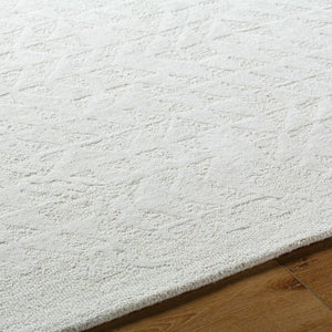 Shardee Modern Light Silver Area Rug