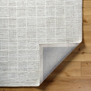 Yomaira Modern Light Silver Area Rug