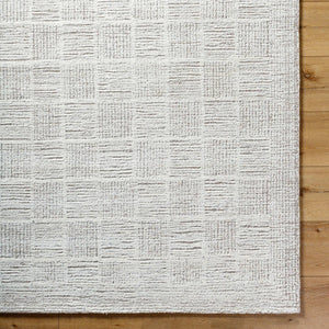 Yomaira Modern Light Silver Area Rug