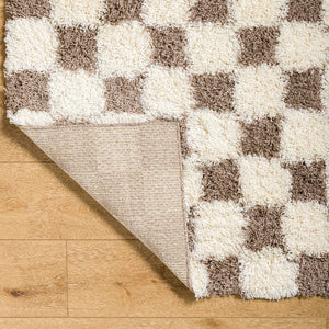 Bondurant Modern Brown Area Rug