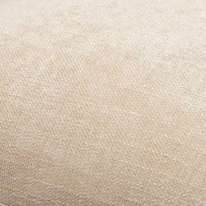 Channy Champagne Pillow Cover