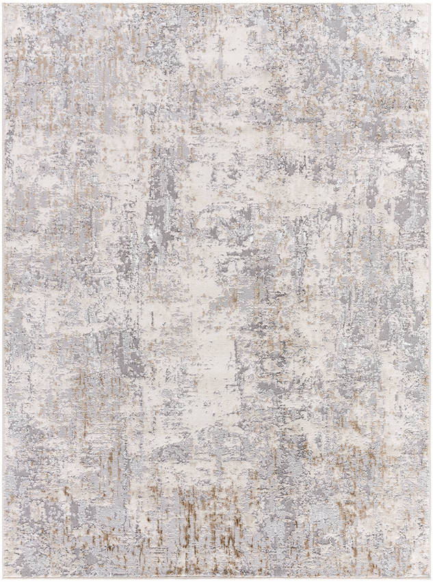 Zacharie Modern Light Gray Area Rug