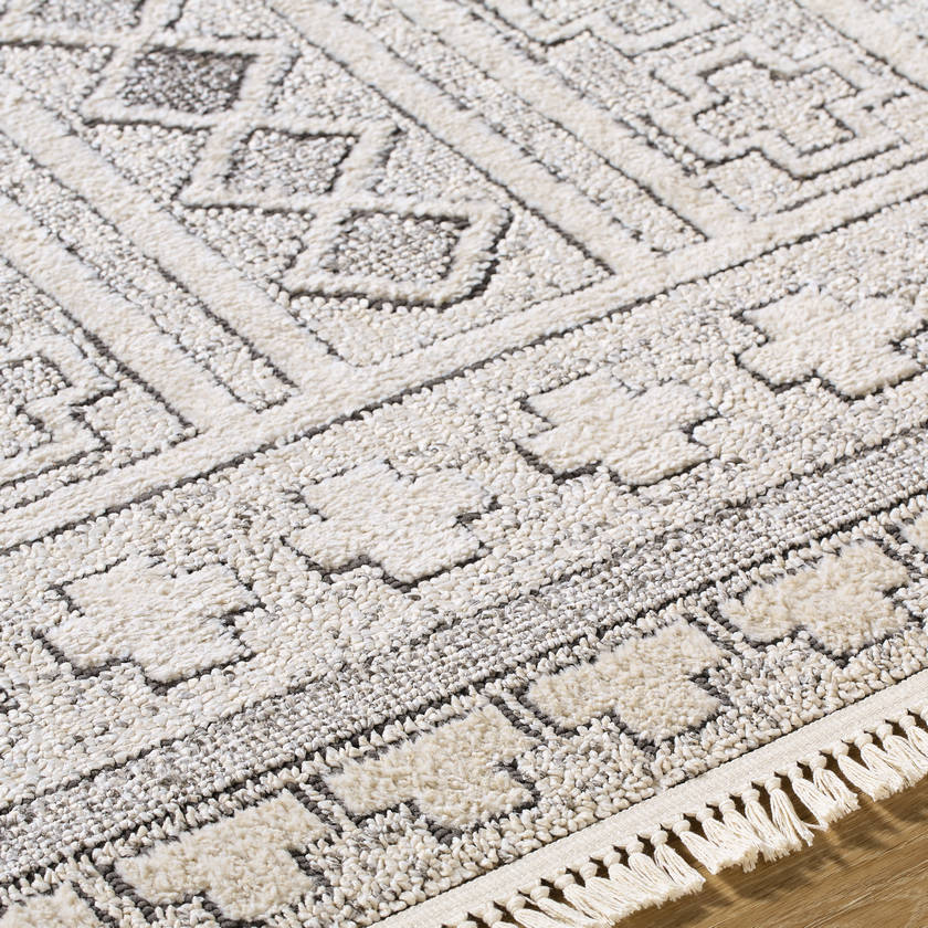 Lindell Modern Ivory/Black Area Rug