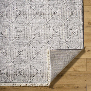 Otha Modern Ivory/Black Area Rug