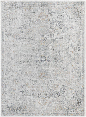Olivia Traditional Medium Gray Area Rug