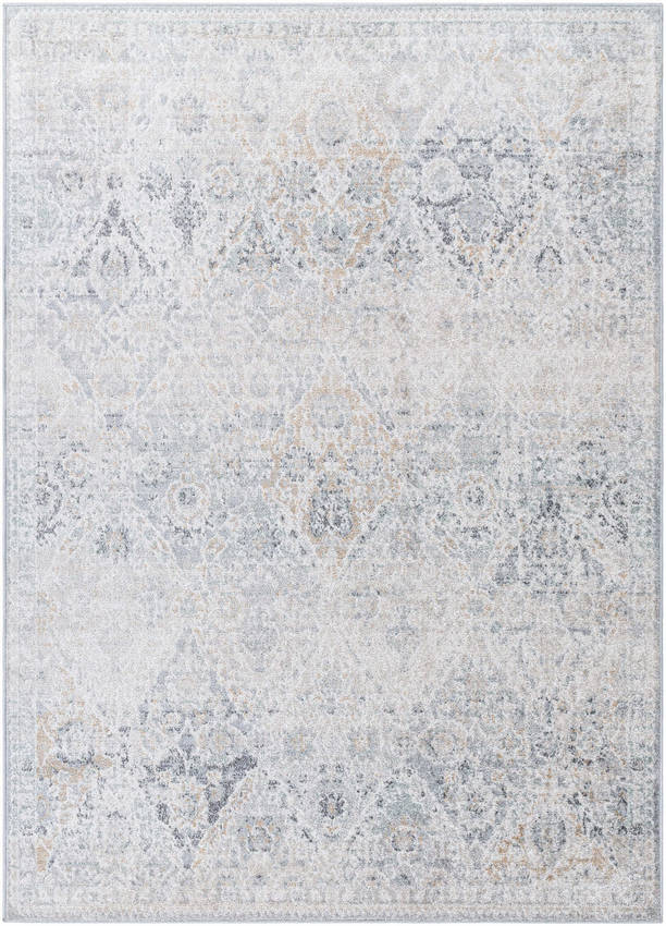 Emilly Traditional Medium Gray Area Rug