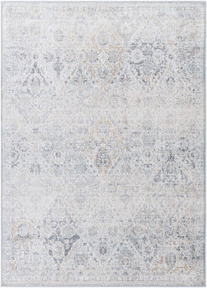Emilly Traditional Medium Gray Area Rug