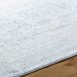 Emilly Traditional Medium Gray Area Rug