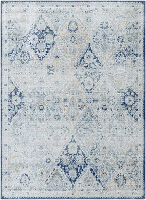 Emilly Traditional Blue Area Rug