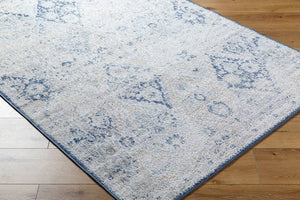 Emilly Traditional Blue Area Rug