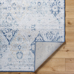 Emilly Traditional Blue Area Rug