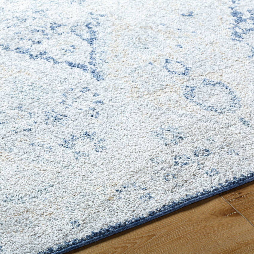 Emilly Traditional Blue Area Rug