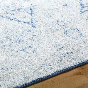 Emilly Traditional Blue Area Rug