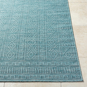 Benjaman Bohemian Dusty Sage Area Rug