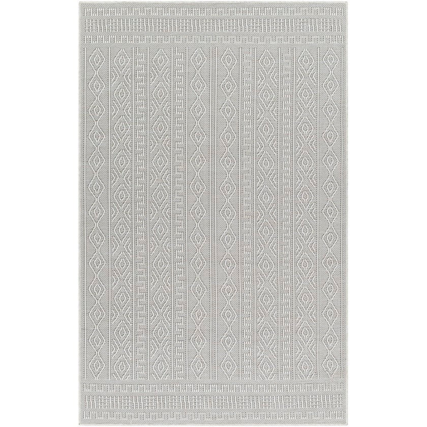 Benjaman Bohemian Light Gray Area Rug