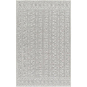 Benjaman Bohemian Light Gray Area Rug