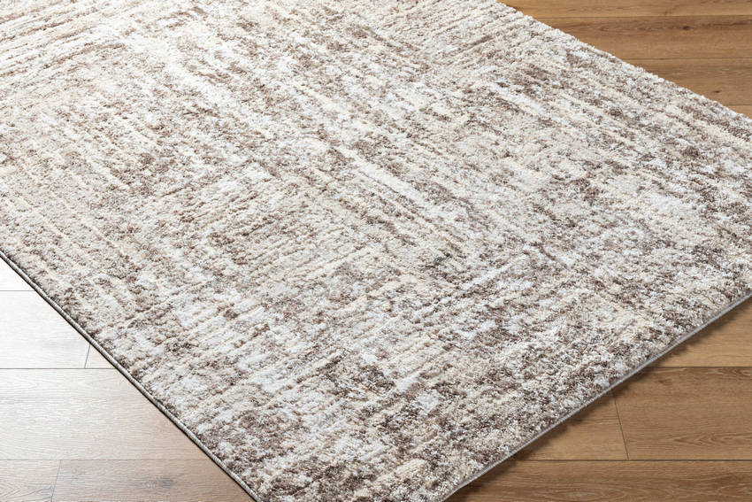 Kathlene Cottage Light Silver Area Rug