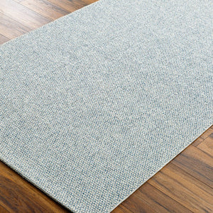 Birdie Solid and Border Ash Area Rug - Becki Owens x Livabliss