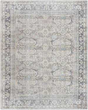 Eran Traditional Light Silver Washable Area Rug