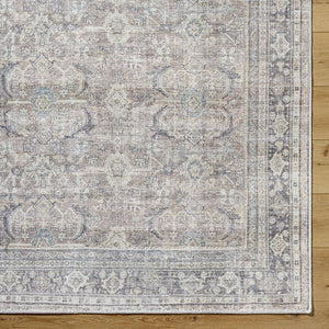 Eran Traditional Light Silver Washable Area Rug